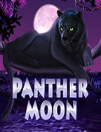 รีวิวแอพสล็อตโรม่า เกมสุดมันส์จาก PG Slot