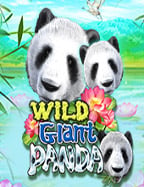 สล็อต เว็บตรง ไม่ผ่าน เอ เย่ น สูตรเด็ดปี 2023